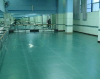 舞蹈塑胶地板成功案例-北京草桥小学舞蹈教室