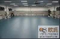 临沂市群众艺术馆选用欧氏防划痕舞蹈地板
