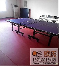 水利部质量安全中心铺装乒乓球pvc地胶