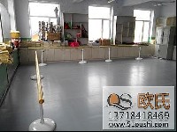 欧氏舞蹈专用地板案例-吉林省磐石吉昌小学