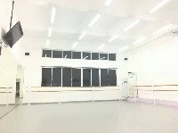 苏州克里斯塔乐芭蕾培训班舞蹈地胶成功案例